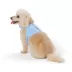Top Paw® Neoprene Vest Dog Harness image thumbnail 1