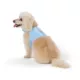 Product Top Paw® Neoprene Vest Dog Harness, Light Blue