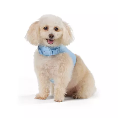 Product Top Paw® Neoprene Vest Dog Harness, Light Blue