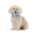 Top Paw® Neoprene Vest Dog Harness image thumbnail 2