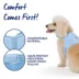 Top Paw® Neoprene Vest Dog Harness image thumbnail 4