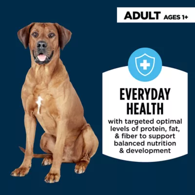 Product Authority Everyday Health Tender Blends Adult Dry Dog Food - Beef & Rice