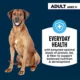 Product Authority Everyday Health Tender Blends Adult Dry Dog Food - Beef & Rice