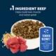 Product Authority Everyday Health Tender Blends Adult Dry Dog Food - Beef & Rice