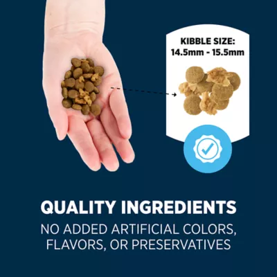 Product Authority Everyday Health Tender Blends Adult Dry Dog Food - Beef & Rice