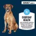 Authority Everyday Health Tender Blends Adult Dry Dog Food - Beef & Rice image thumbnail 3