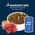 Authority Everyday Health Tender Blends Adult Dry Dog Food - Beef & Rice image thumbnail 4