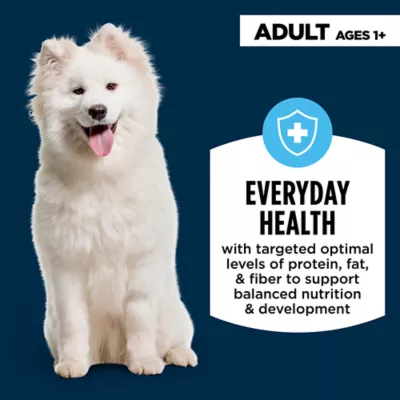 Product Authority Everyday Health Tender Blends Adult Dry Dog Food - Chicken & Rice