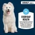 Authority Everyday Health Tender Blends Adult Dry Dog Food - Chicken & Rice image thumbnail 3
