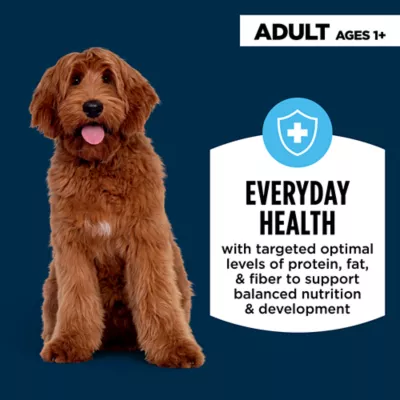 Product Authority Everyday Health Tender Blends Adult Dry Dog Food - Salmon & Rice
