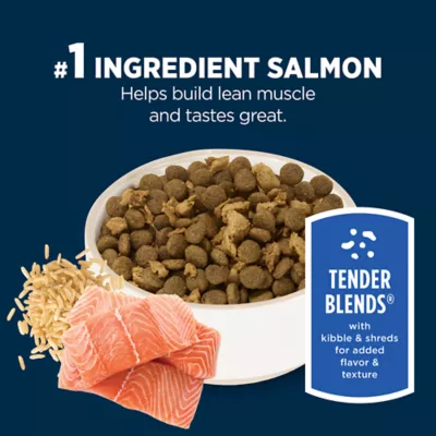Product Authority Everyday Health Tender Blends Adult Dry Dog Food - Salmon & Rice