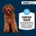 Authority Everyday Health Tender Blends Adult Dry Dog Food - Salmon & Rice image thumbnail 3