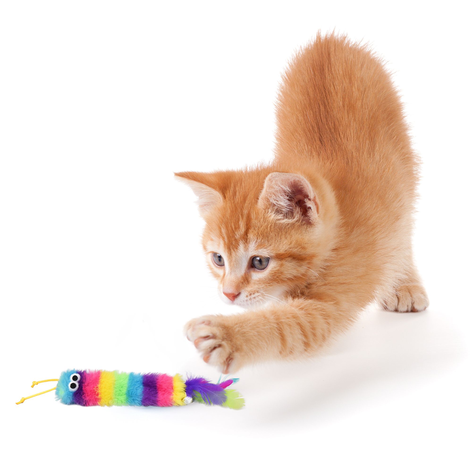Multipet Caterpillar Cat Toy, Assorted - thumbnail 2