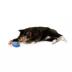 Whisker City Plush Fish Cat Toy image thumbnail 6