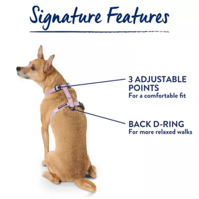 Top Paw® Basic Nylon Dog Harness - Image 7