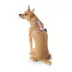 Top Paw® Basic Nylon Dog Harness image thumbnail 1