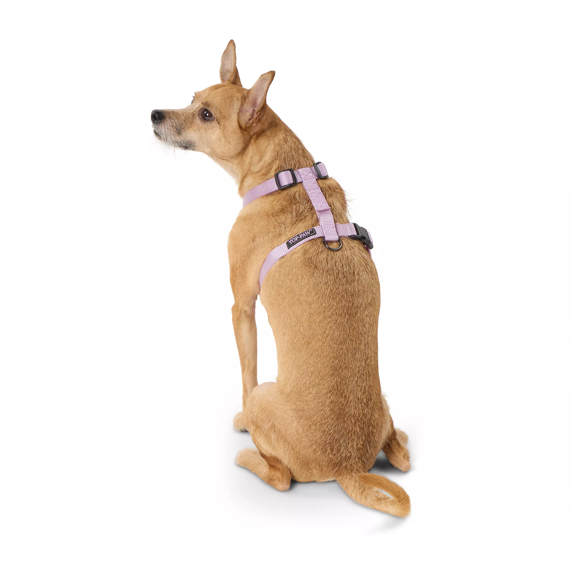 Top Paw® Basic Nylon Dog Harness, Lavender