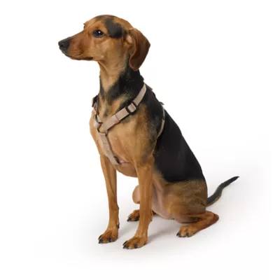 Product Top Paw® Basic Nylon Dog Harness