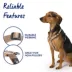Top Paw® Basic Nylon Dog Harness image thumbnail 4
