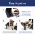Top Paw® Basic Nylon Dog Harness image thumbnail 5