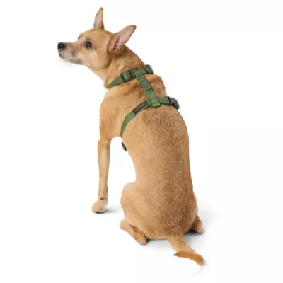 Product Top Paw® Basic Nylon Dog Harness