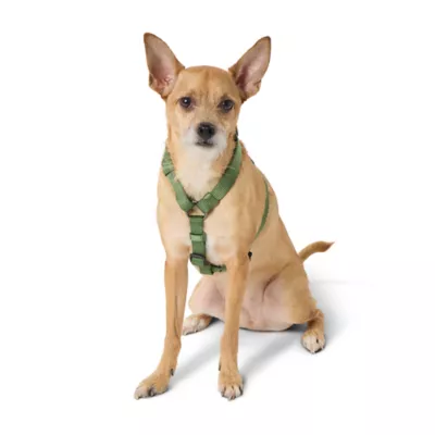 Product Top Paw® Basic Nylon Dog Harness