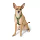 Product Top Paw® Basic Nylon Dog Harness