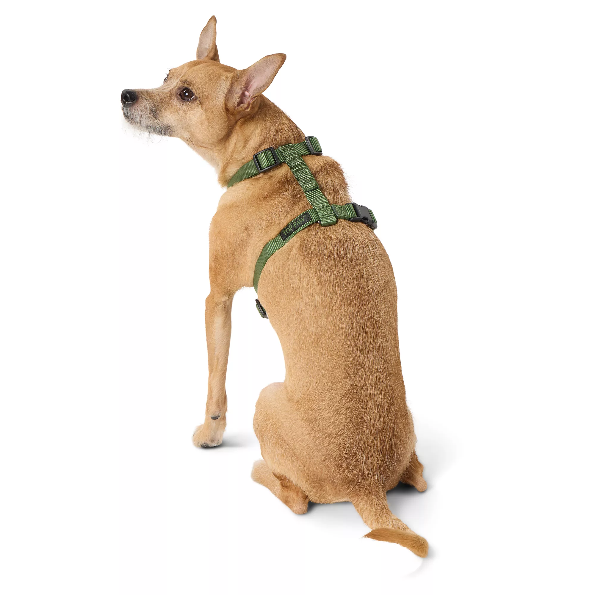 Top Paw® Basic Nylon Dog Harness, Olive