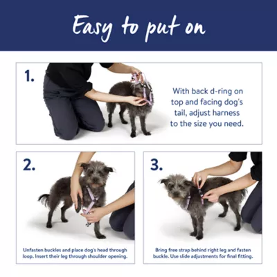 Top Paw® Basic, Slip On, Adjustable, Dog Harness - Image 5
