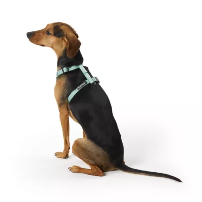 Top Paw® Basic Nylon Dog Harness - Image 1