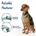 Top Paw® Basic Nylon Dog Harness image thumbnail 4