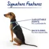 Top Paw® Basic Nylon Dog Harness image thumbnail 7