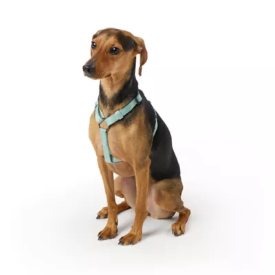 Top Paw® Basic Nylon Dog Harness - Image 2