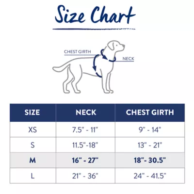 Top Paw® Basic Nylon Dog Harness - Image 3