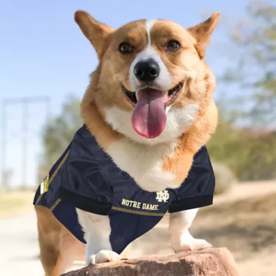 Pets First Notre Dame Mesh Jersey - Image 4