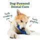 Product WOOF Bite n' Brush - Dental Toy for Dogs