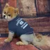 Pets First University of North Carolina T-Shirt image thumbnail 2
