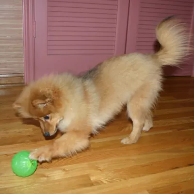 Product Starmark Treat Dispensing Chew Ball
