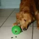 Product Starmark Treat Dispensing Chew Ball