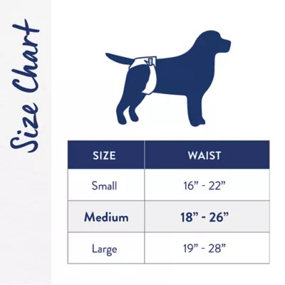 Product Top Paw® Washable Fashion Diapers for Dogs, 3 Count