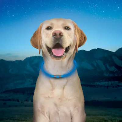 Product Nite Ize® NiteHowl® LED Safety Necklace
