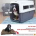Sport Pet Plastic Travel Kennel for Dogs - White image thumbnail 3