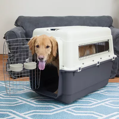 Sport Pet Plastic Travel Kennel for Dogs - Plastic Pet Carrier, White - Image 4