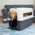 Sport Pet Plastic Travel Kennel for Dogs - Plastic Pet Carrier, White image thumbnail 4