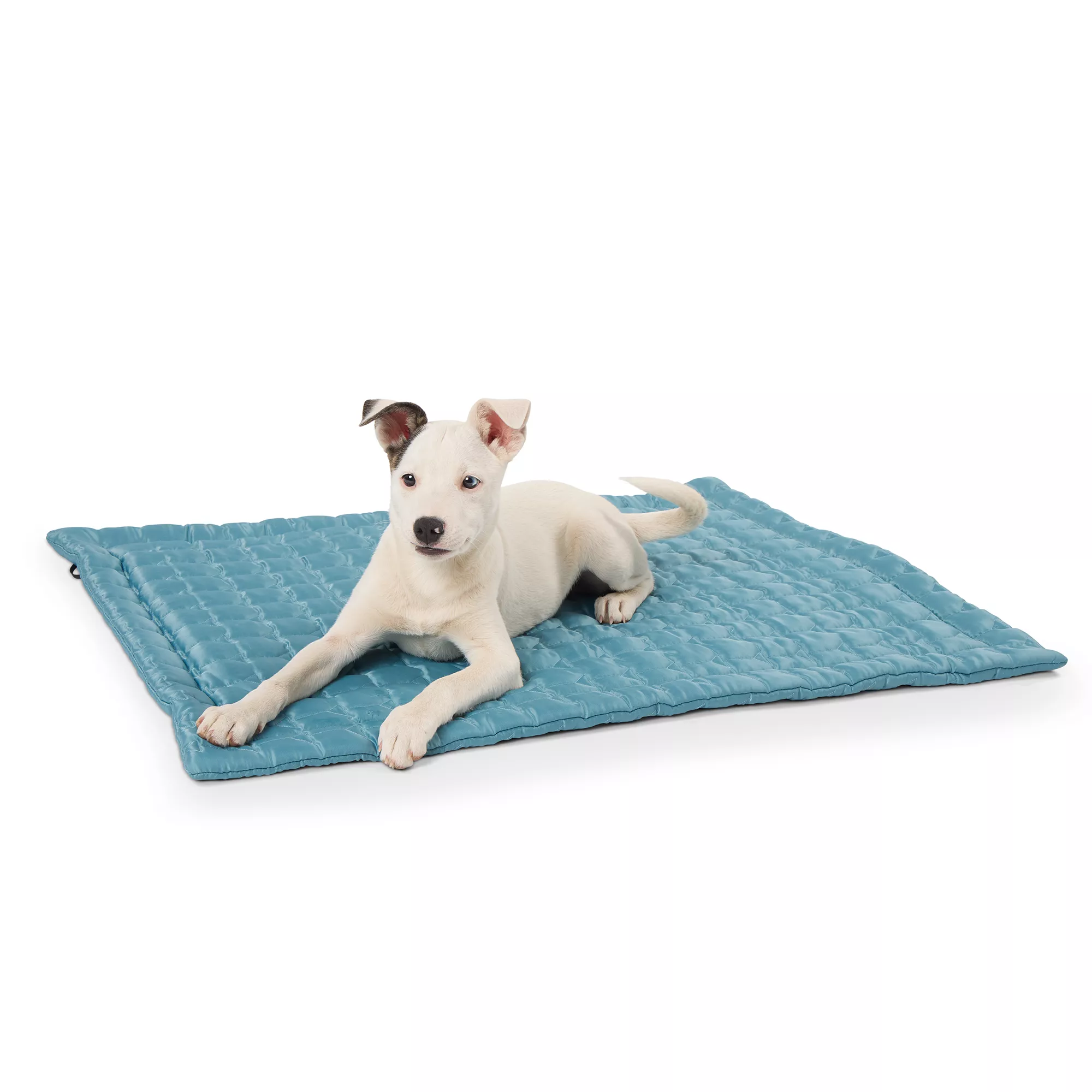 Top Paw® Quilted Dog Mat