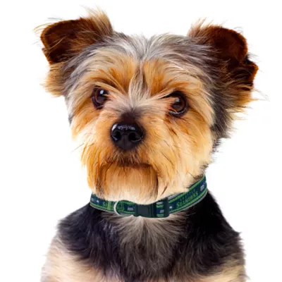 Pets First Seattle Seahawks Satin Collar - Image 3
