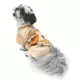 Product Disney The Lion King Hakuna Matata Pet Tee