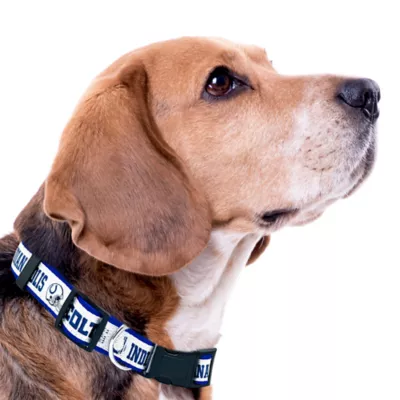 Pets First Indianapolis Colts Satin Collar - Image 2