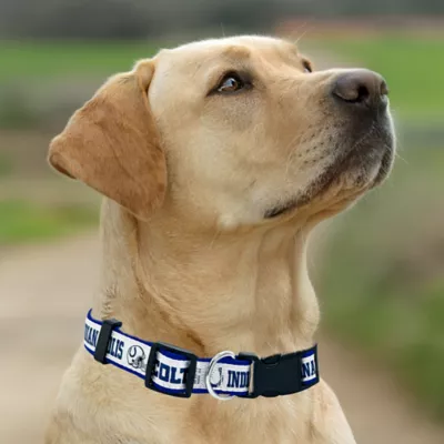 Pets First Indianapolis Colts Satin Collar - Image 3