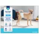 Product Top Paw® Disposable Male Wraps for Dogs, with Swift-Dry® Technology
